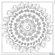 mandala Printable Coloring Nplooj Ntawv